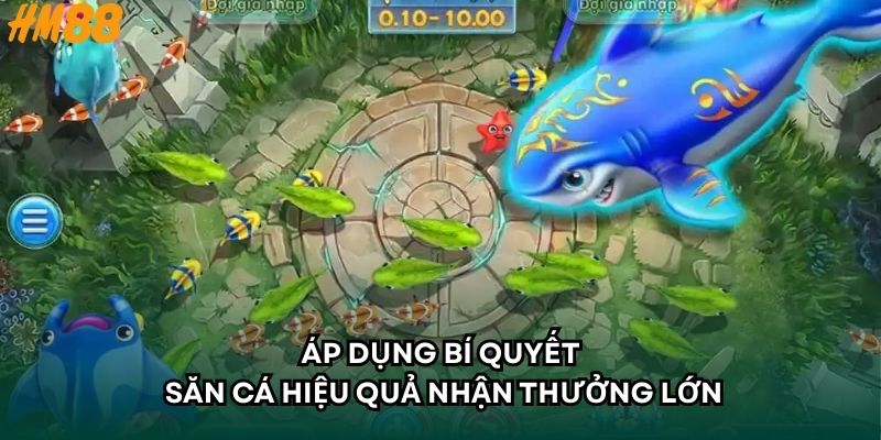 Áp dụng bí quyết săn cá hiệu quả nhận thưởng lớn