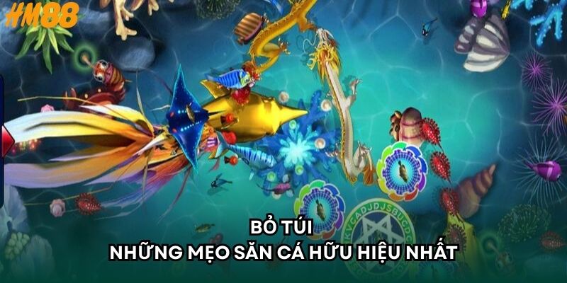 Bỏ túi những mẹo săn cá hữu hiệu nhất