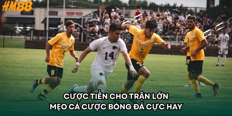 Cược tiền cho trận lớn - Mẹo cá cược bóng đá cực hay