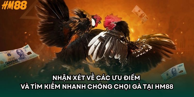 Nhận xét về các ưu điểm và tìm kiếm nhanh chóng chọi gà tại HM88