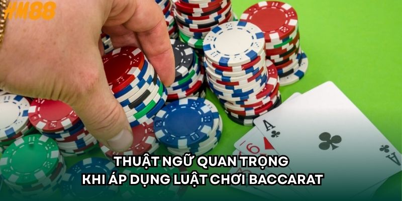 Thuật ngữ quan trọng khi áp dụng luật chơi baccarat